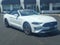 2023 Ford Mustang EcoBoost